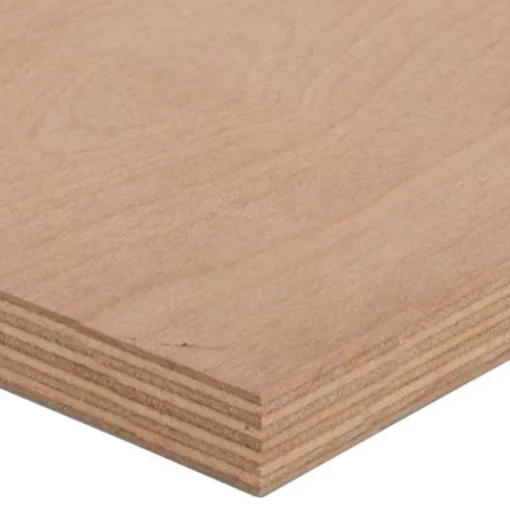 Kayın Marin kontrplak